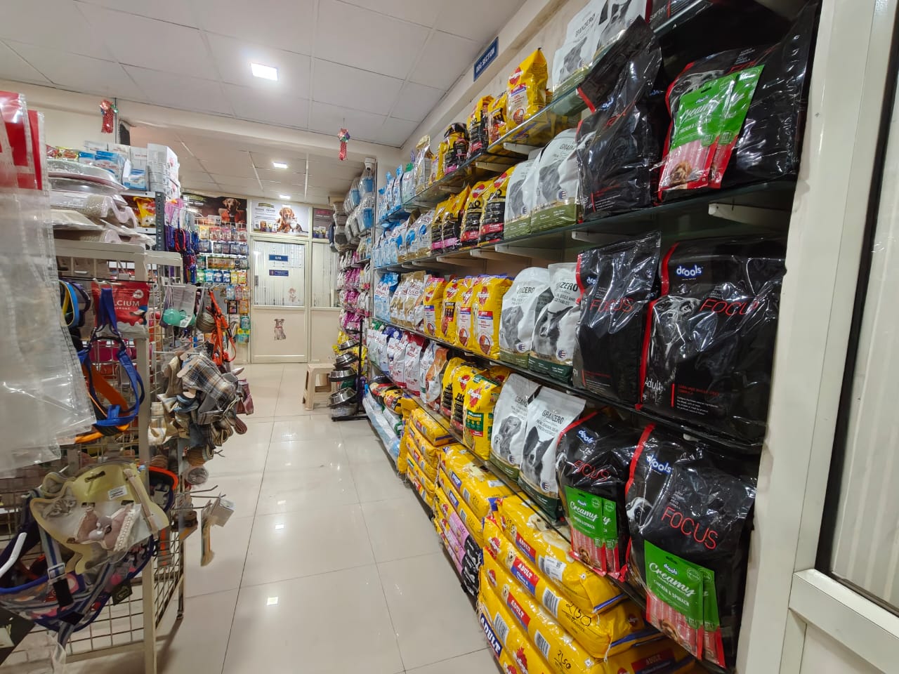 Sarvadnya Pet Care Unit veterinary clinic, Pune